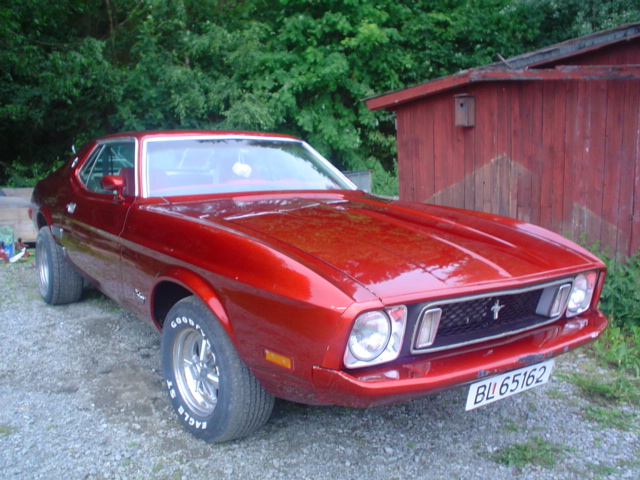 mustang under 020.JPG
