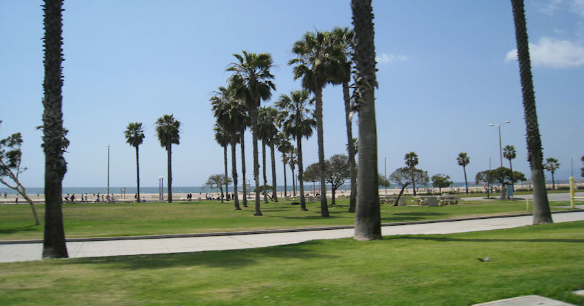 Beach.jpg