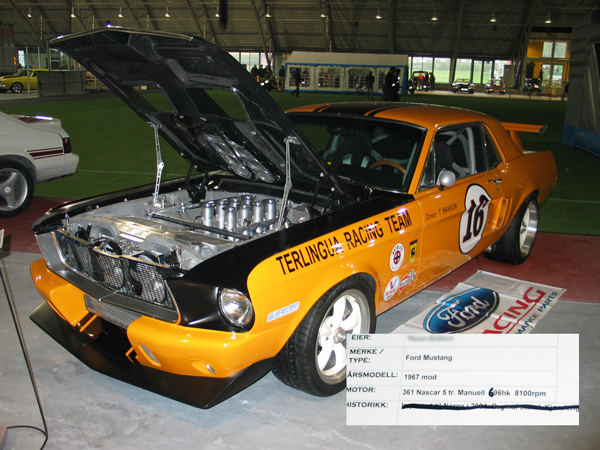 tbmustang.jpg