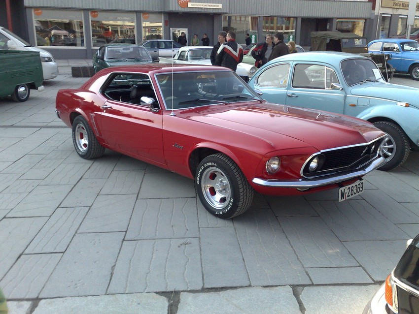 mustang.jpg