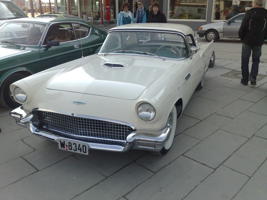t-bird1.jpg