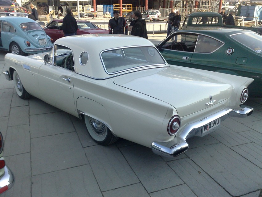 t-bird2.jpg