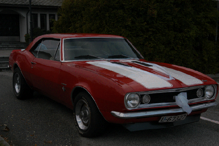 Dsc_0001.gif