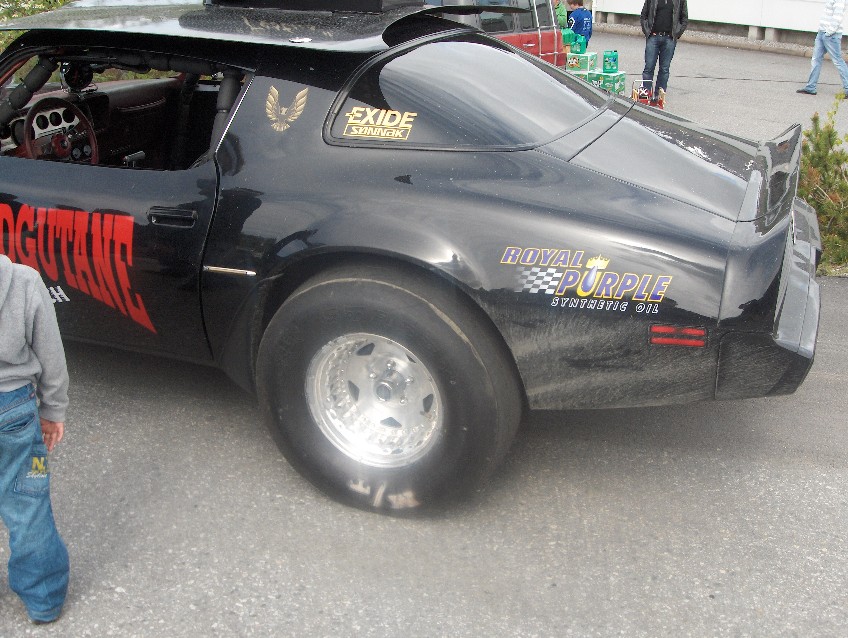 Trans Am 4.jpg