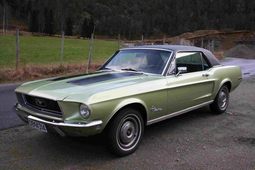 Mustang HT.jpg