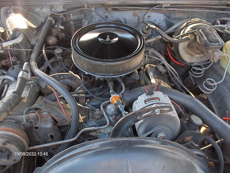 gasser7.JPG