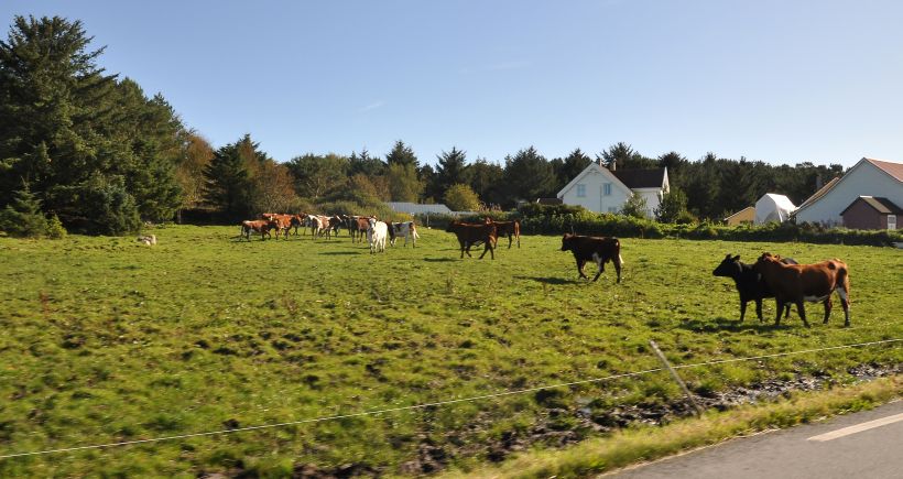 DSC_5097.JPG