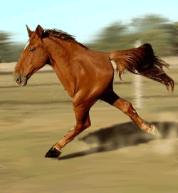 arild[1]_kolnes%40lyse_net-5430-9.gif