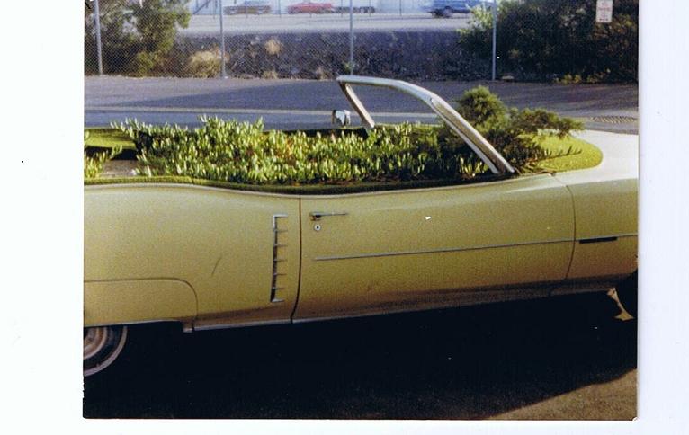 eldorado hage3.jpg