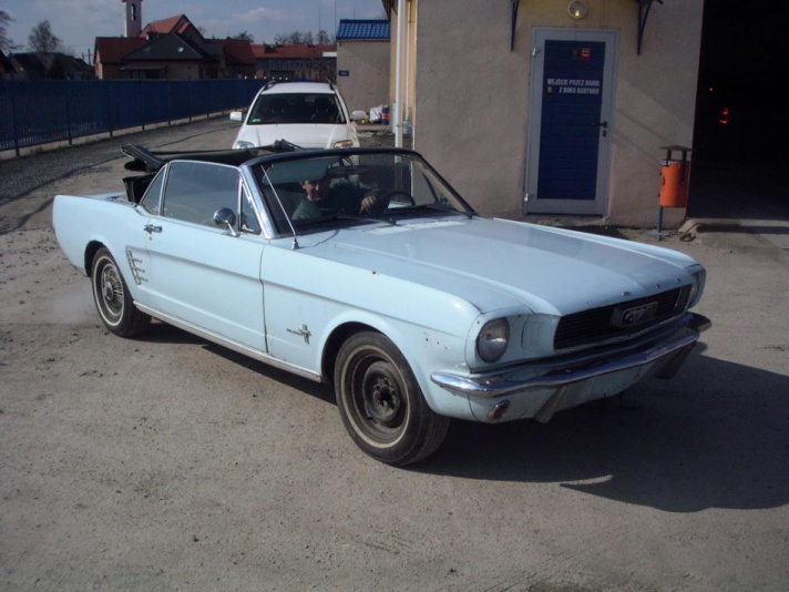 mustang6.jpg