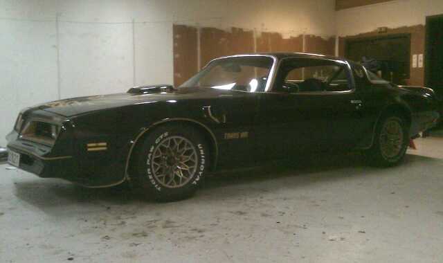 Trans Am'en min 2_0.jpg