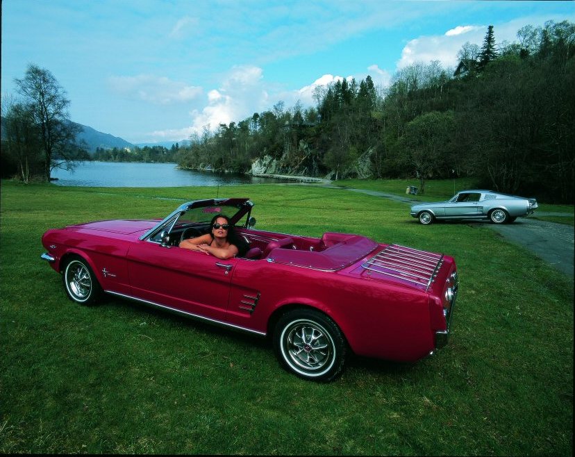 Mustang Fun.jpg
