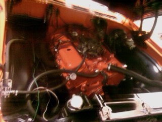IMAG0452.jpg