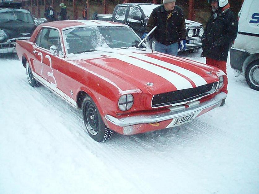 Kala 65 Mustang.JPG