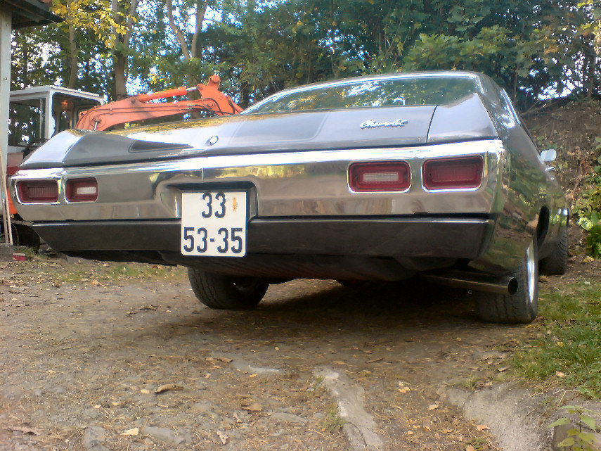 03b.JPG
