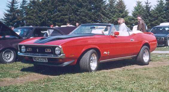 Ford Mustang Convertible  (1).jpg