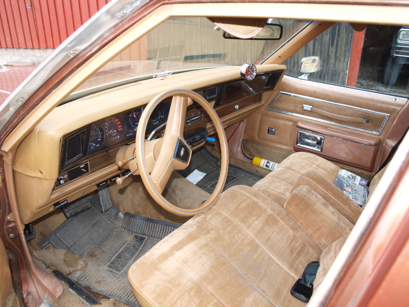 BP4251455.jpg