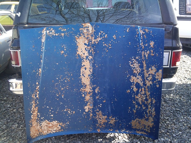 DSC_0083.jpg