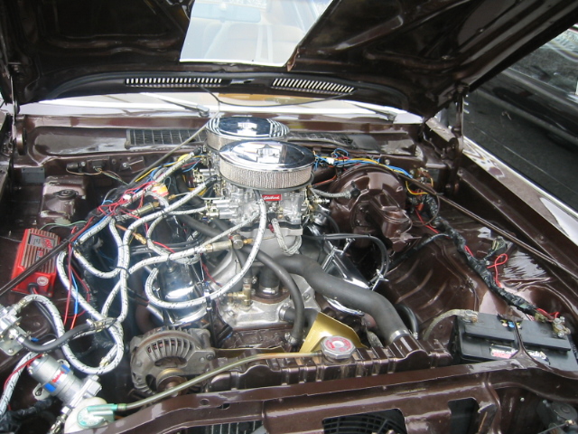 Dodge Aspen Engine.JPG