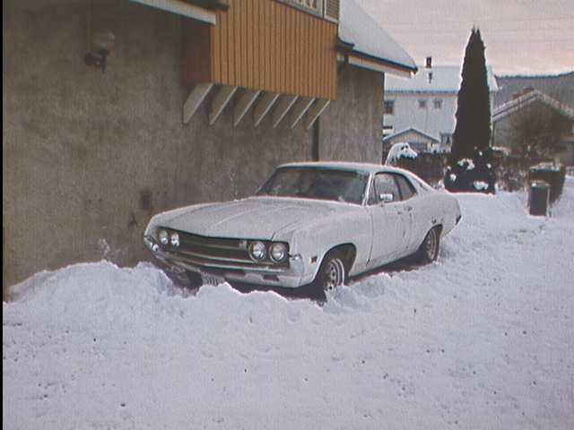 P005-003.JPG