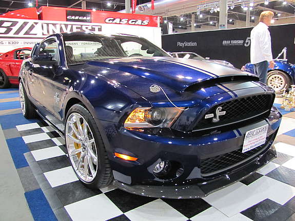 shelby.jpg