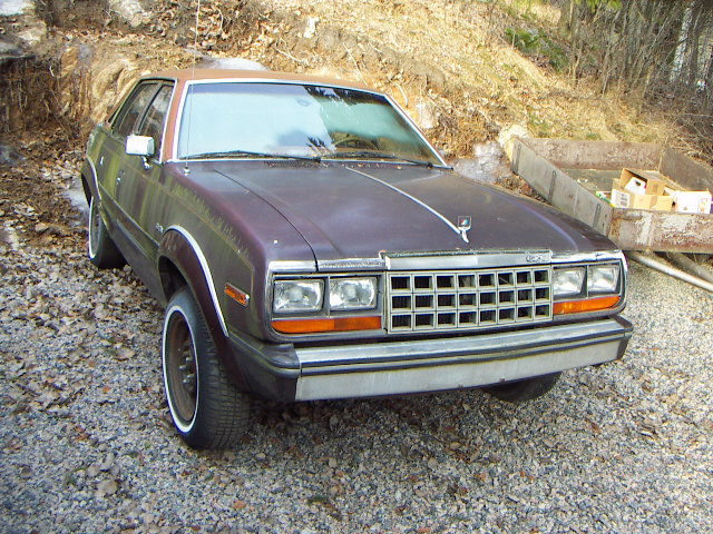 amc eagle 001.JPG