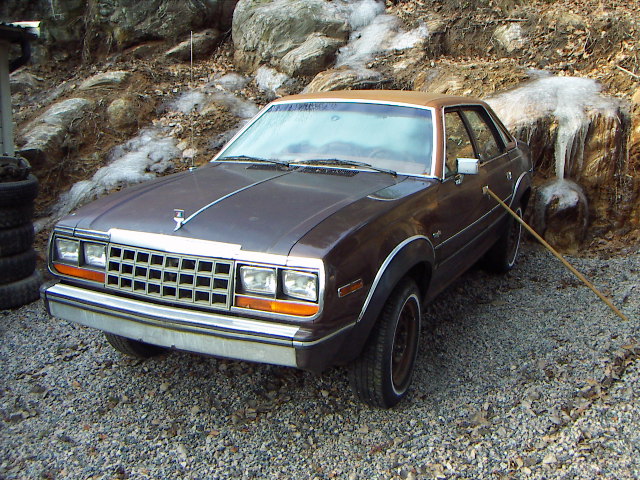amc eagle 002.JPG