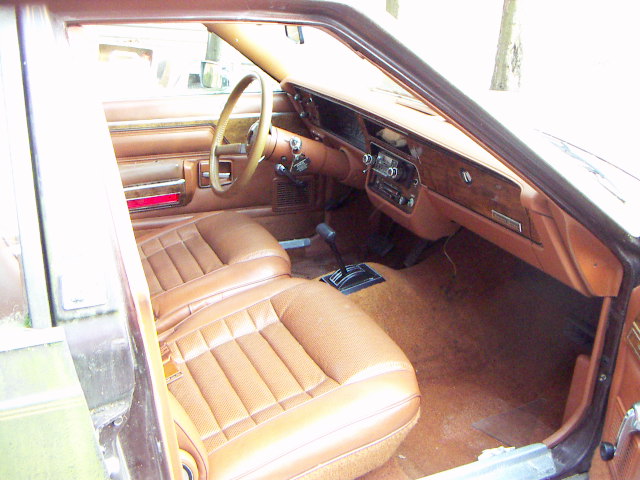 amc eagle 003.JPG