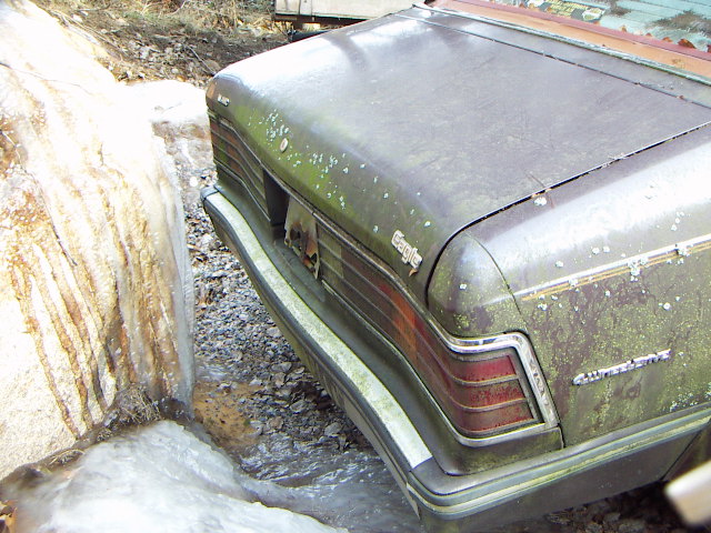 amc eagle 004.JPG
