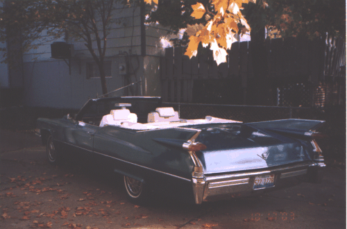 69 with 59 fins1.gif