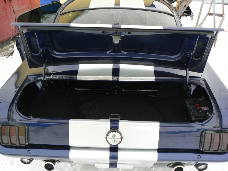trunk3.jpg