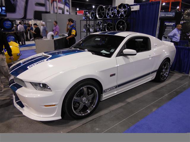 DSCN0213 (Small).JPG