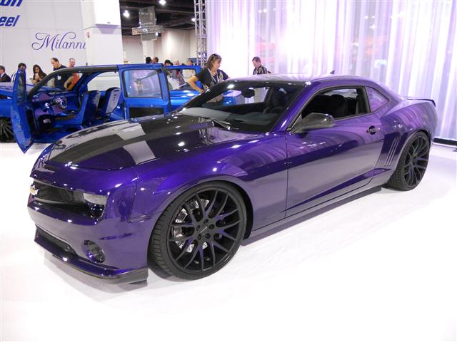 DSCN0222 (Small).JPG