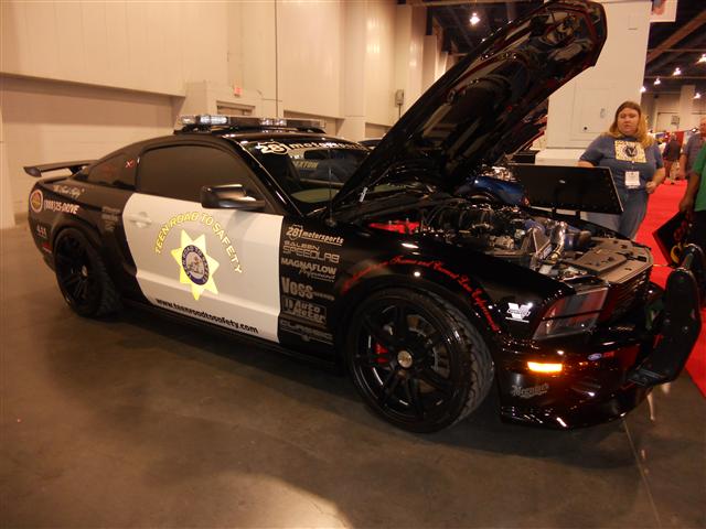 DSCN0251 (Small).JPG