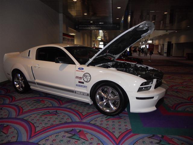 DSCN0293 (Small).JPG