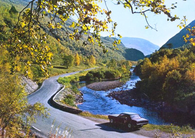 Mustang_i_Drivdalen.jpg