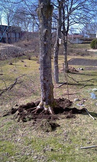 IMAG0375.jpg