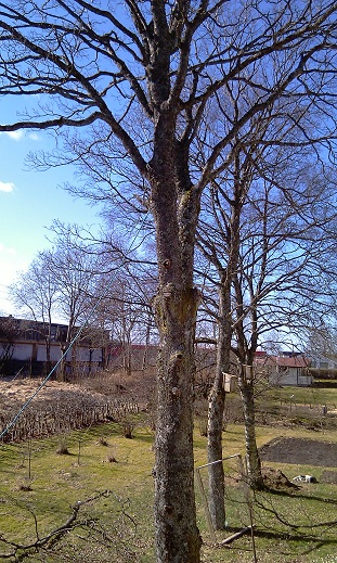IMAG0376.jpg