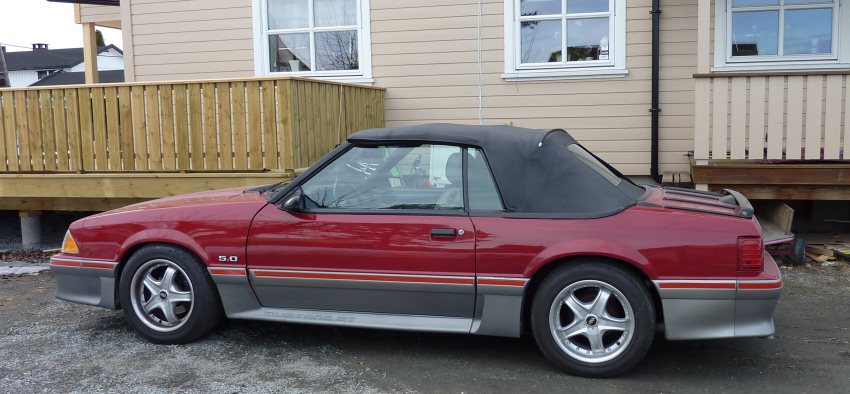 Mustang_88_01.jpg