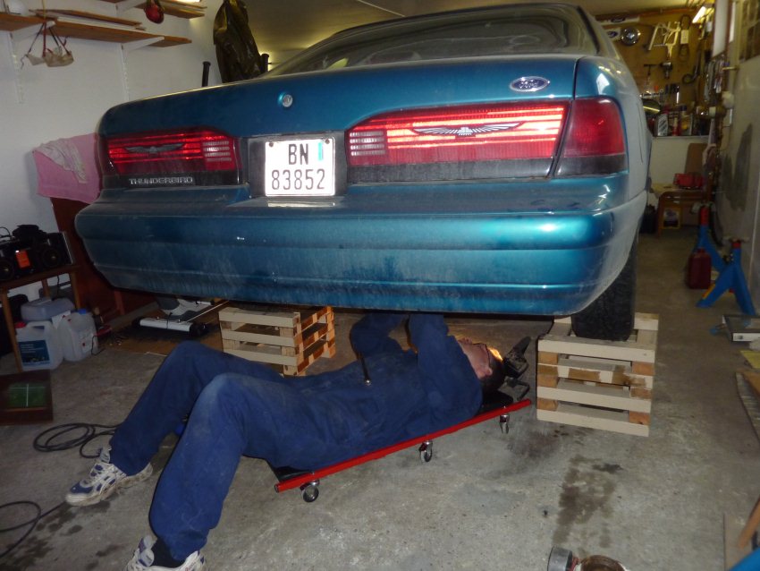 T-bird.jpg