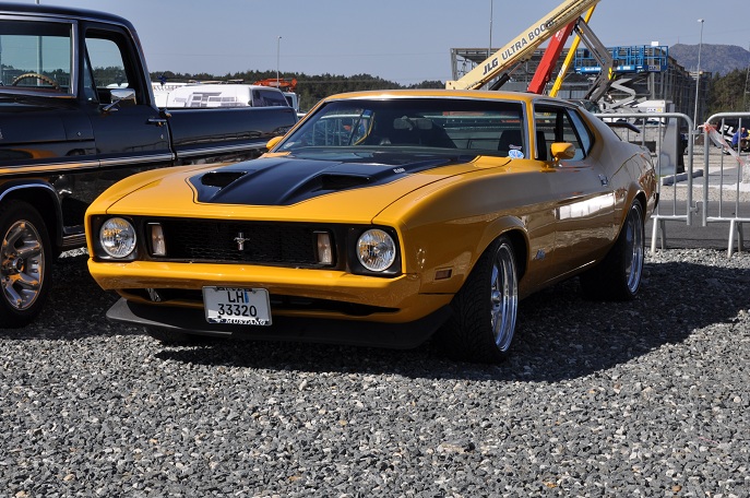 DSC_0233.JPG