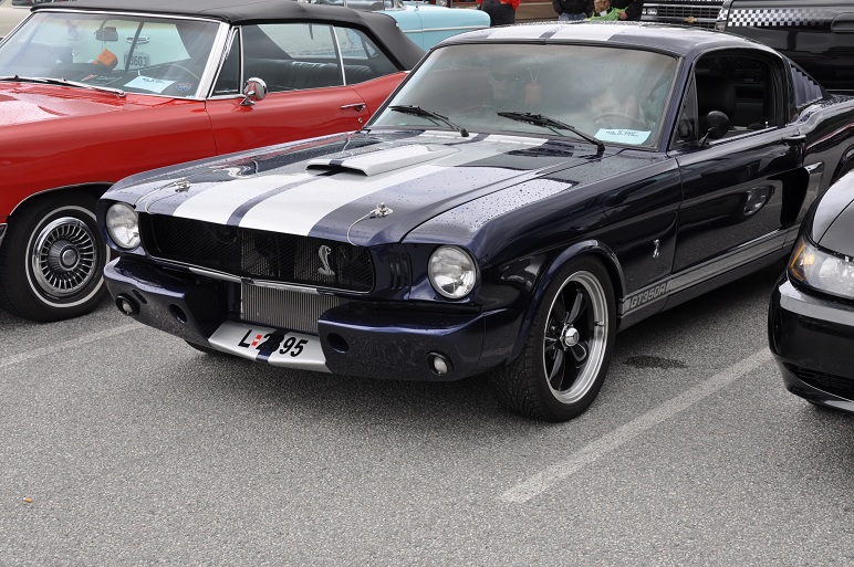 DSC_0050.JPG
