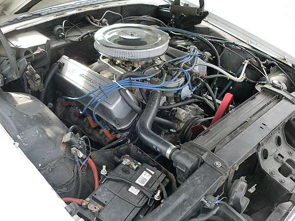 motor.jpg