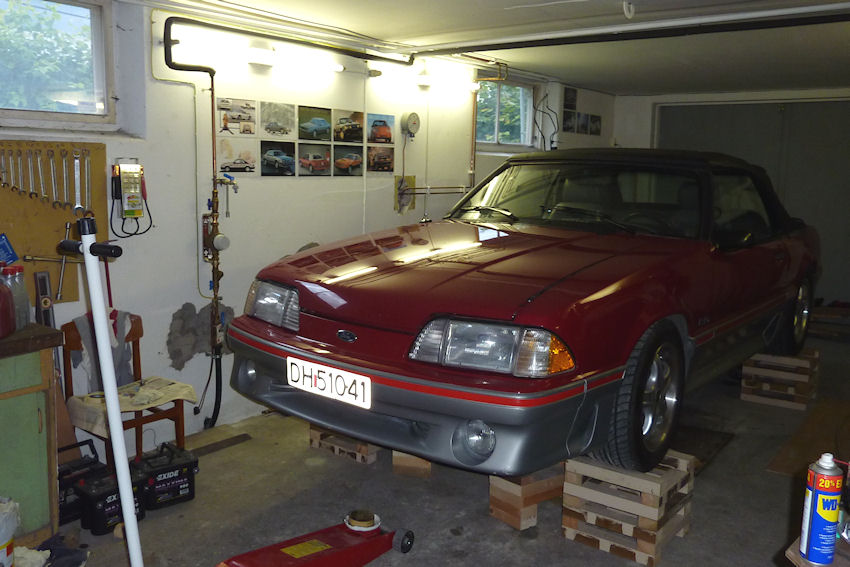 Mus88.jpg
