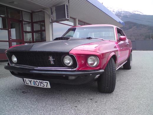 Mustangen i sentrum.jpg