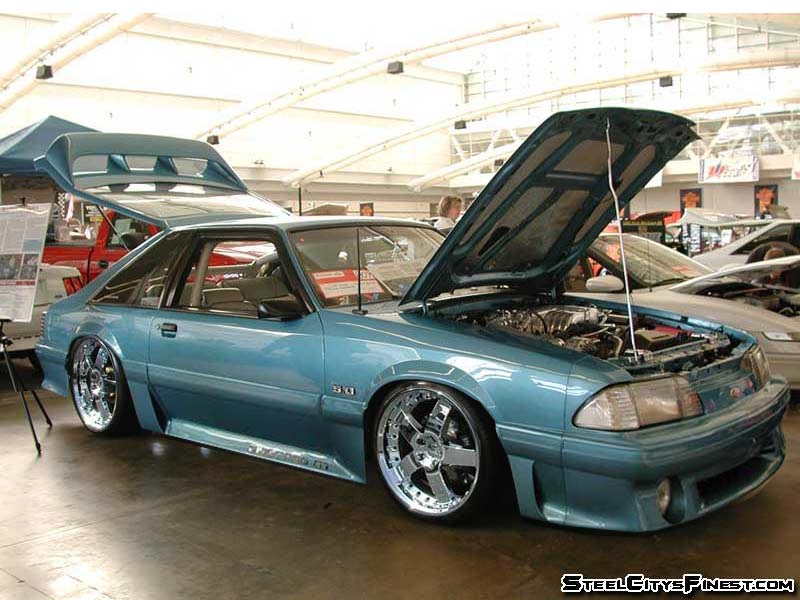 mustang 5.jpg