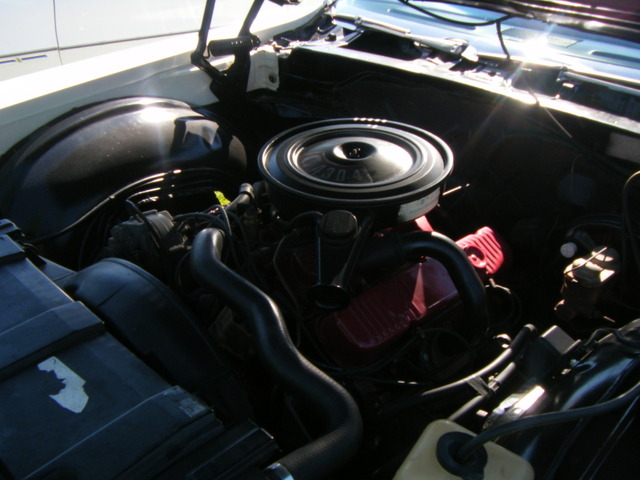 DSCF0521.jpg