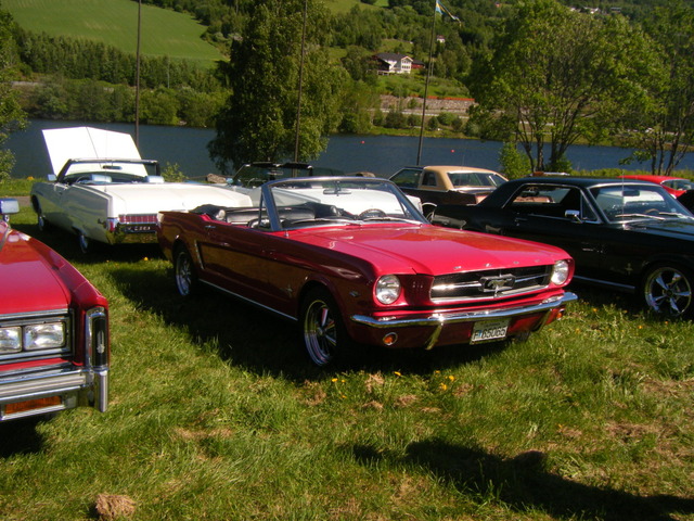 DSCF0495.jpg