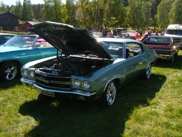 DSCF0456.jpg