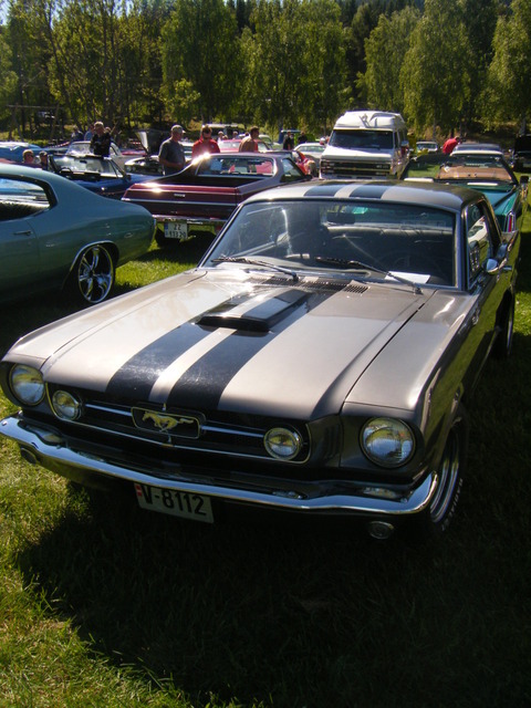 DSCF0454.jpg